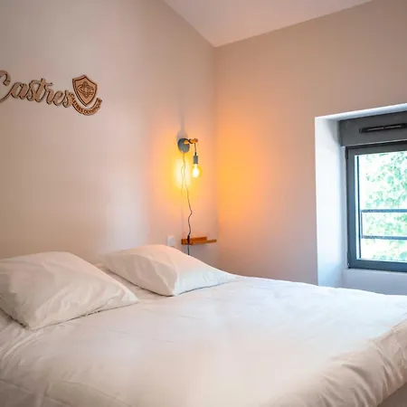 La Borie Lautrecoise - 26 Pers - Piscine Chauffee & Clim Ferienhaus *